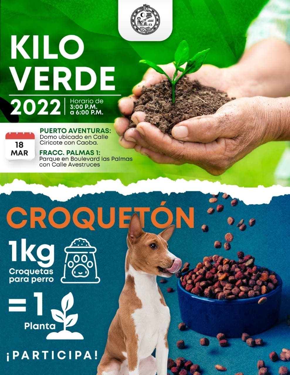 Anuncian Croquetón en Solidaridad para ayudar a perros de la calle