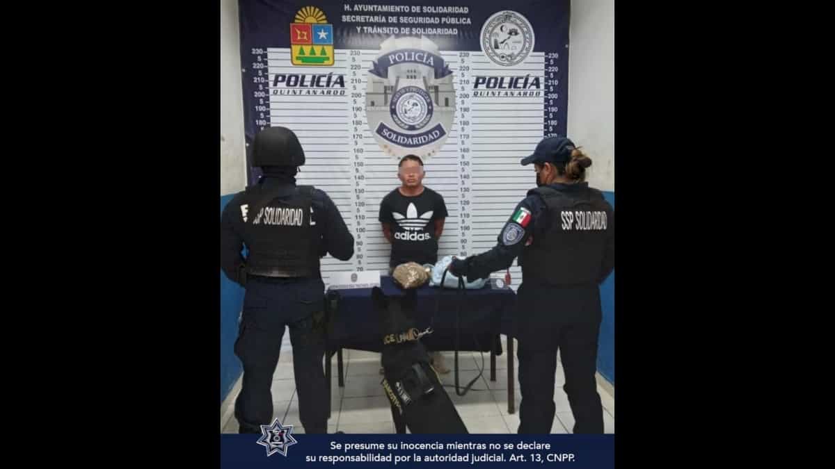 Perro detecta bolsa con marihuana en van foránea de Playa del Carmen