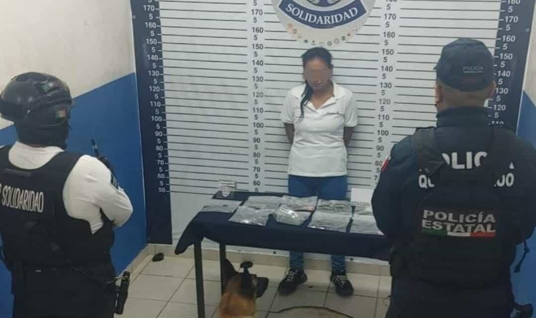 Mesera chiapaneca escondía droga en restaurante en la zona turística de Playa del Carmen