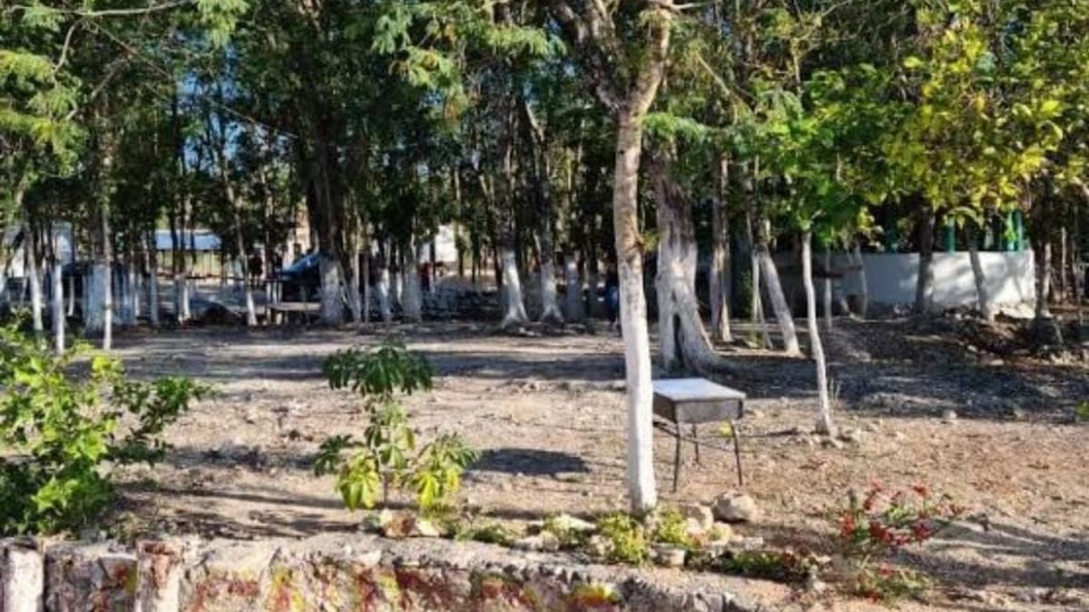 Tras años en el abandono, Ayuntamiento de Solidaridad atiende a la zona norponiente