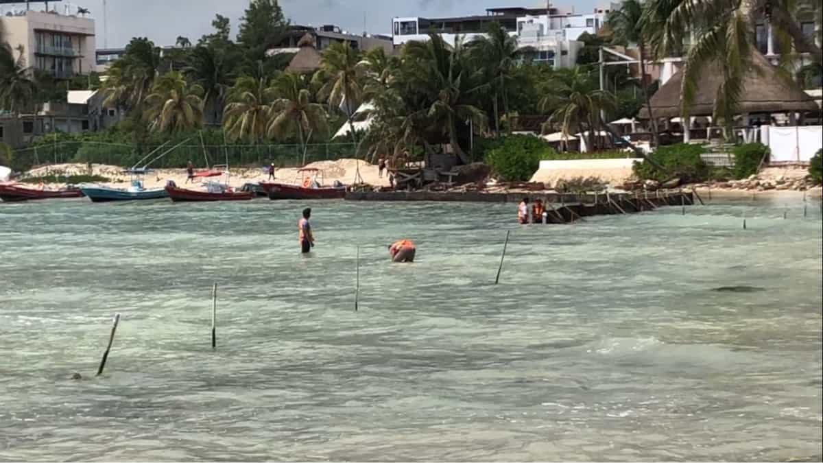 Hotel Panama Jack realiza obras sin permiso en Playa del Carmen; Profepa no ha intervenido