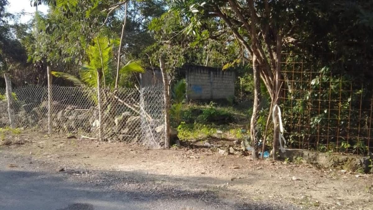 Solidaridad, segundo municipio con más invasiones en Quintana Roo