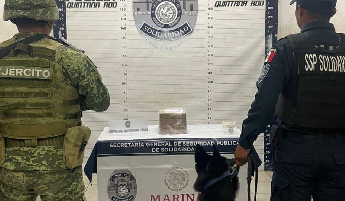 Detectan cajas con droga en paquetería de Playa del Carmen