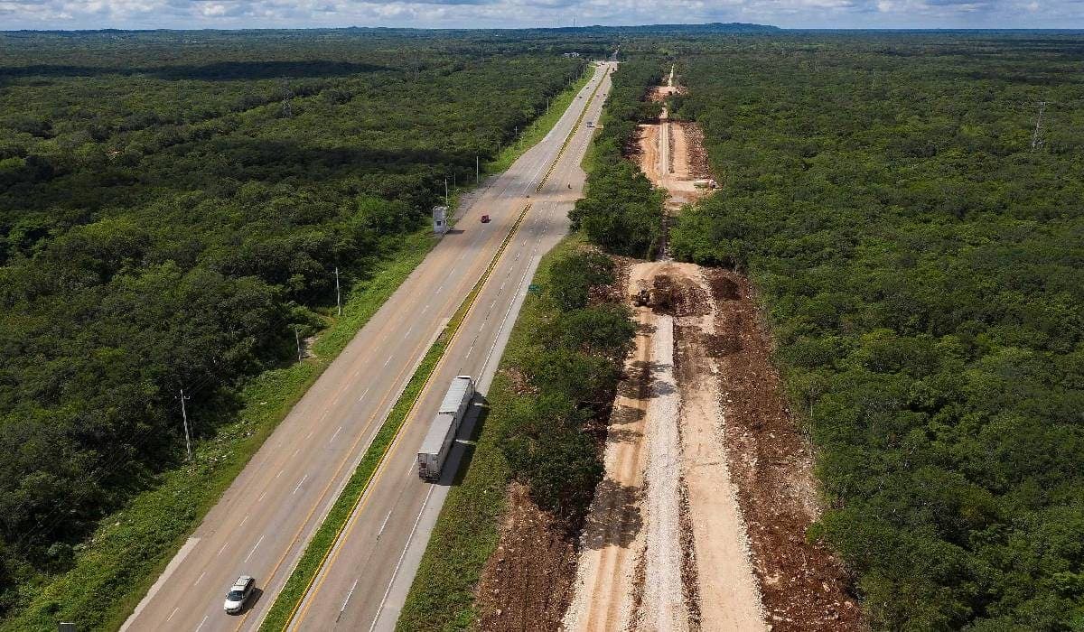 Tendrá tramo Playa del Carmen-Tulum del Tren Maya mayor número de 'pasos de fauna'