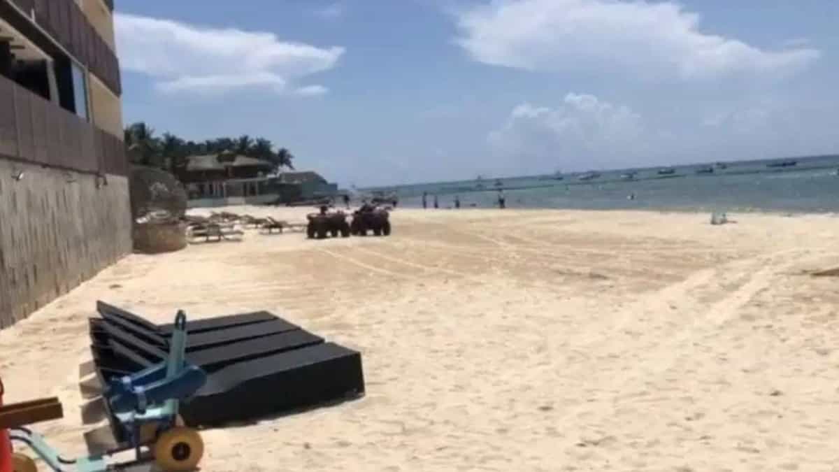 Blue Flag o Pet Friendly: Ciudadanos decidirán el futuro de la costa de la 72 en Playa del Carmen