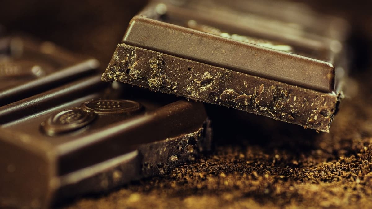 Destaca chocolate creado en Playa del Carmen en evento internacional; obtiene medalla de plata
