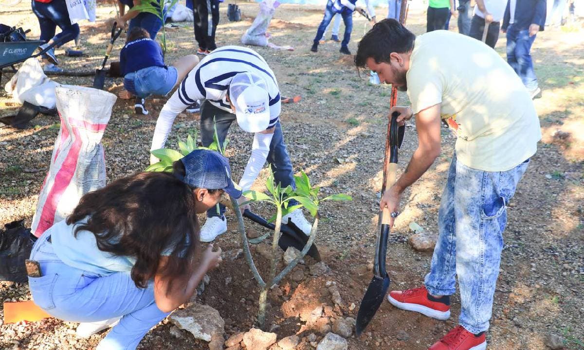 Son restauradas áreas verdes en Villas del Sol