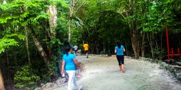 Cancún fortalecerá la conservación del “ Parque Kabah”, sitio emblemático de más de 40 hectáreas