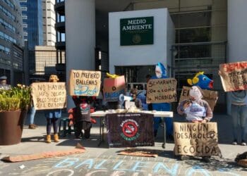 Organizaciones y comunidades de La Paz y Cozumel protestan en oficinas de Semarnat para evitar la llegada de megacruceros