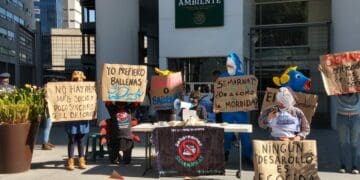 Organizaciones y comunidades de La Paz y Cozumel protestan en oficinas de Semarnat para evitar la llegada de megacruceros