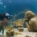 Quintana Roo cerró el año de 2021 con más de 14 millones 823 mil visitantes