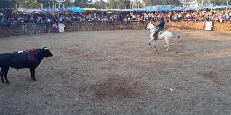 Realizarán corrida de toros en Kantunilkín, con amparo