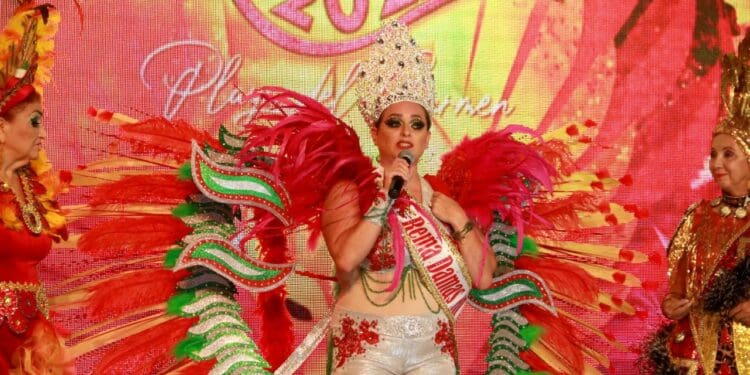 Colores, alegría y baile en "Damas en Carnaval", evento con causa