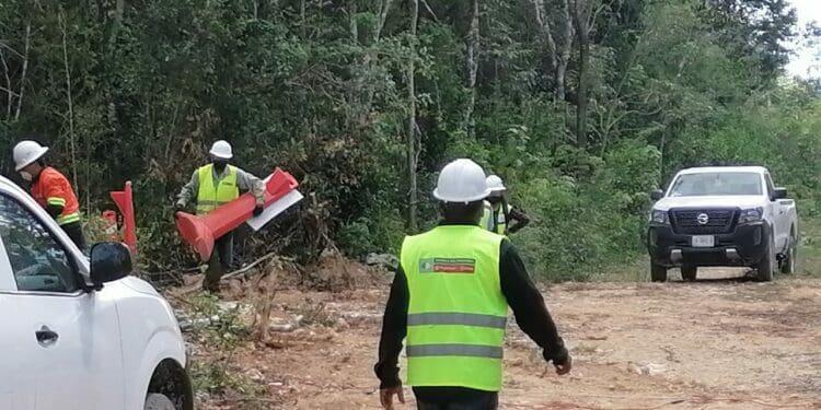 Amplían desmonte en Playa del Carmen por Tren Maya