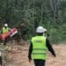 Amplían desmonte en Playa del Carmen por Tren Maya