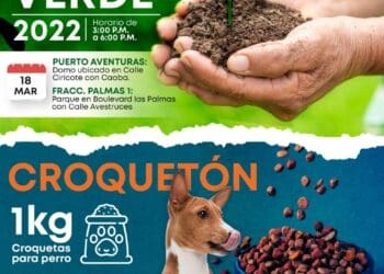 Anuncian Croquetón en Solidaridad para ayudar a perros de la calle