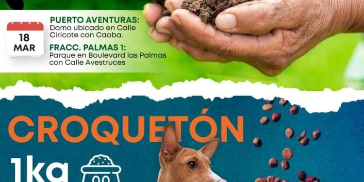 Anuncian Croquetón en Solidaridad para ayudar a perros de la calle