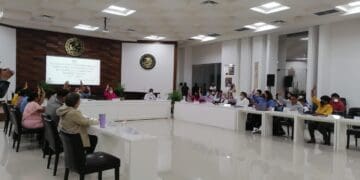 Aprueban, con reservas, cuenta pública 2021 de Solidaridad