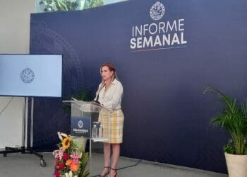 Ayuntamiento de Solidaridad inicia procedimiento administrativo por desmonte para el Tren Maya