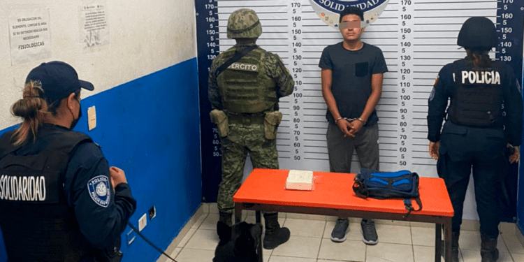 Binomio canino detecta a sujeto con ladrillo de coca en Playa del Carmen