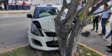 Chocan a taxi y lo proyectan contra un árbol en Playa del Carmen