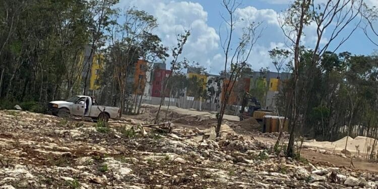 Devastación de Ara supera con mucho a brecha del Tren Maya, acusan playenses