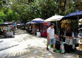 Se avanza en formalización de ambulantes en Solidaridad