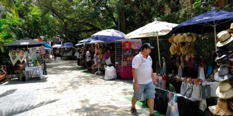 Se avanza en formalización de ambulantes en Solidaridad