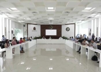 Solicita Cabildo de Solidaridad estudios ambientales del Tren Maya