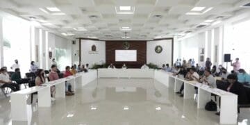 Solicita Cabildo de Solidaridad estudios ambientales del Tren Maya