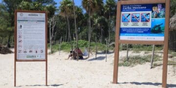 Disfrutan bañistas de playas certificadas en Solidaridad