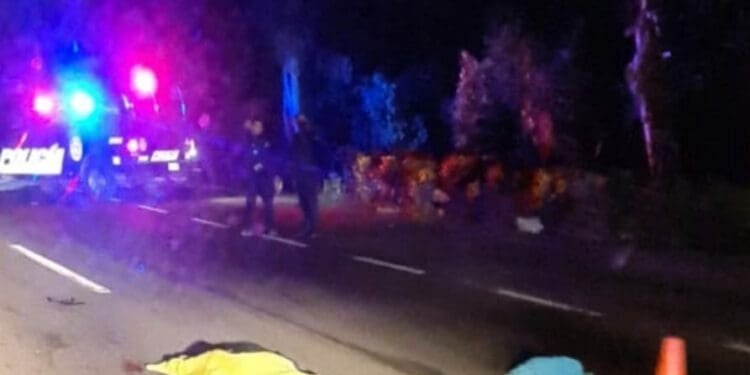 Automóvil atropella y mata a hombre en la carretera federal 307￼