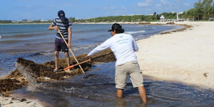 Continúa jornada de limpieza de playas