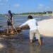 Continúa jornada de limpieza de playas