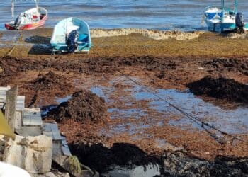 Lamenta líder hotelero actuación tarde de la Marina ante sargazo