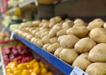 Pese a temporada vacacional, verdulerías sufren bajas ventas por alzas en precios de productos