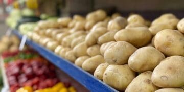 Pese a temporada vacacional, verdulerías sufren bajas ventas por alzas en precios de productos