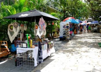 Reubican a ambulantaje en la Quinta Avenida