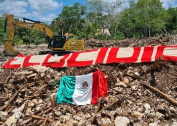 Activistas celebran suspensión definitiva al Tramo 5 de Tren Maya; Fonatur confía en realizar proyecto