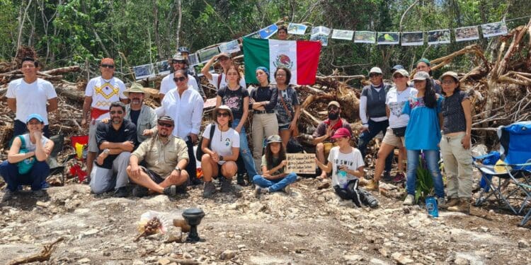Activistas protestan en brecha del Tren Maya