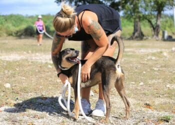Concientizan a solidarenses sobre adopción de perros y gatos