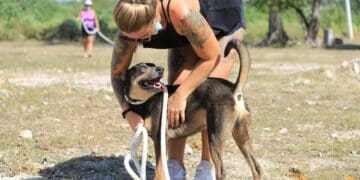 Concientizan a solidarenses sobre adopción de perros y gatos