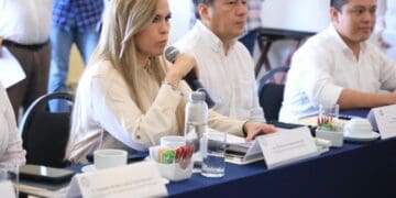 Contará Solidaridad con proyecto lumínico de calidad