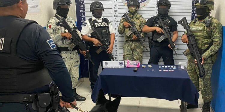 Policías de Solidaridad encuentran droga en una maceta de la colonia Centro