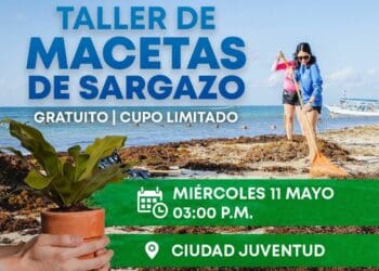 Promueven aprovechamiento del sargazo en Solidaridad