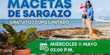 Promueven aprovechamiento del sargazo en Solidaridad