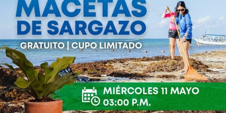 Promueven aprovechamiento del sargazo en Solidaridad