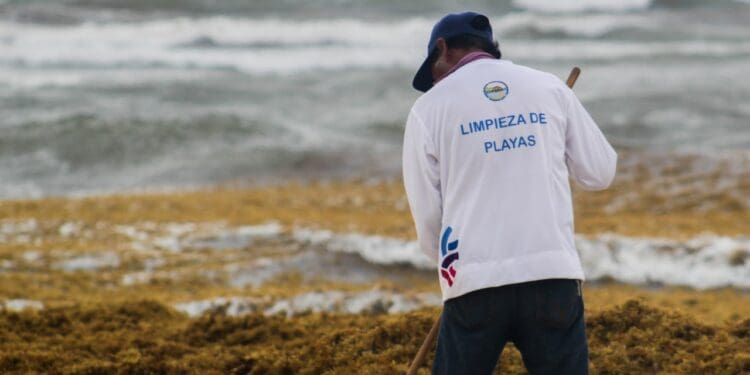 Refuerzan trabajos de limpieza en playas de Solidaridad