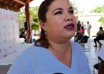 Rescatan a cuatro tortugas varadas en playas de Solidaridad