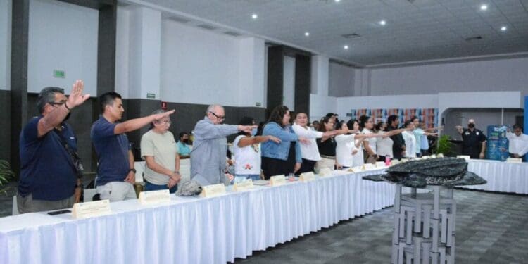 Se prepara Solidaridad para arribos de la tortuga marina